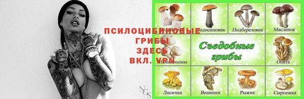 2c-b Алзамай