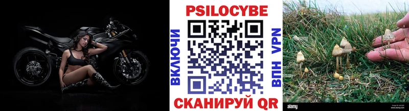 это официальный сайт mega зеркало Заполярный хочу Псилоцибиновые грибы Cubensis